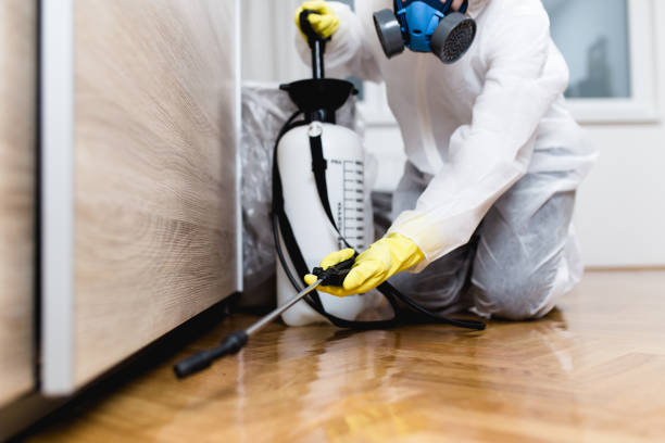Best Pest Control for Businesses  in Chubbuck, ID