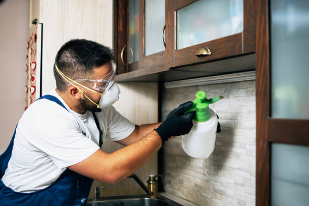 Best Pest Control Cost  in Chubbuck, ID
