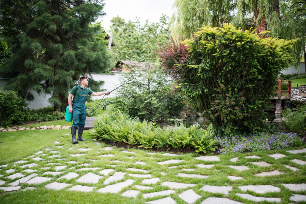 Best Local Pest Control Services  in Chubbuck, ID