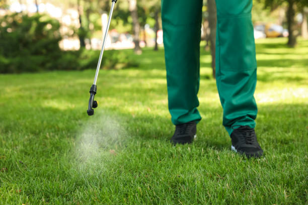 Best Mosquito Control Services  in Chubbuck, ID