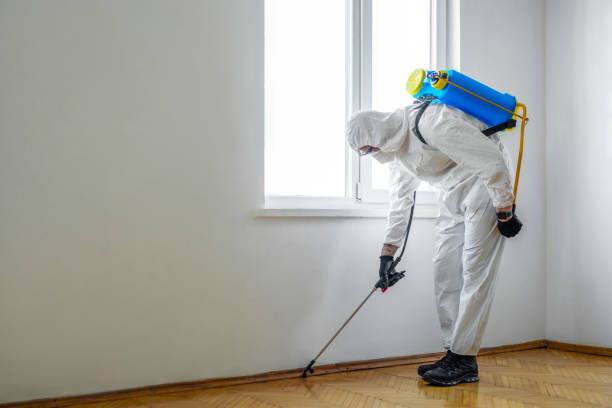 Best Flea Control Services  in Chubbuck, ID