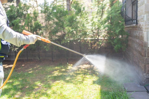 Best Emergency Pest Control  in Chubbuck, ID