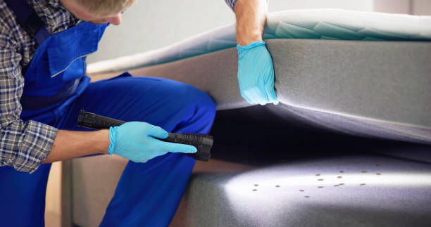 Best Cockroach Control Services  in Chubbuck, ID