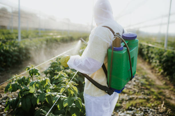 Professional Pest Control in Chubbuck, ID